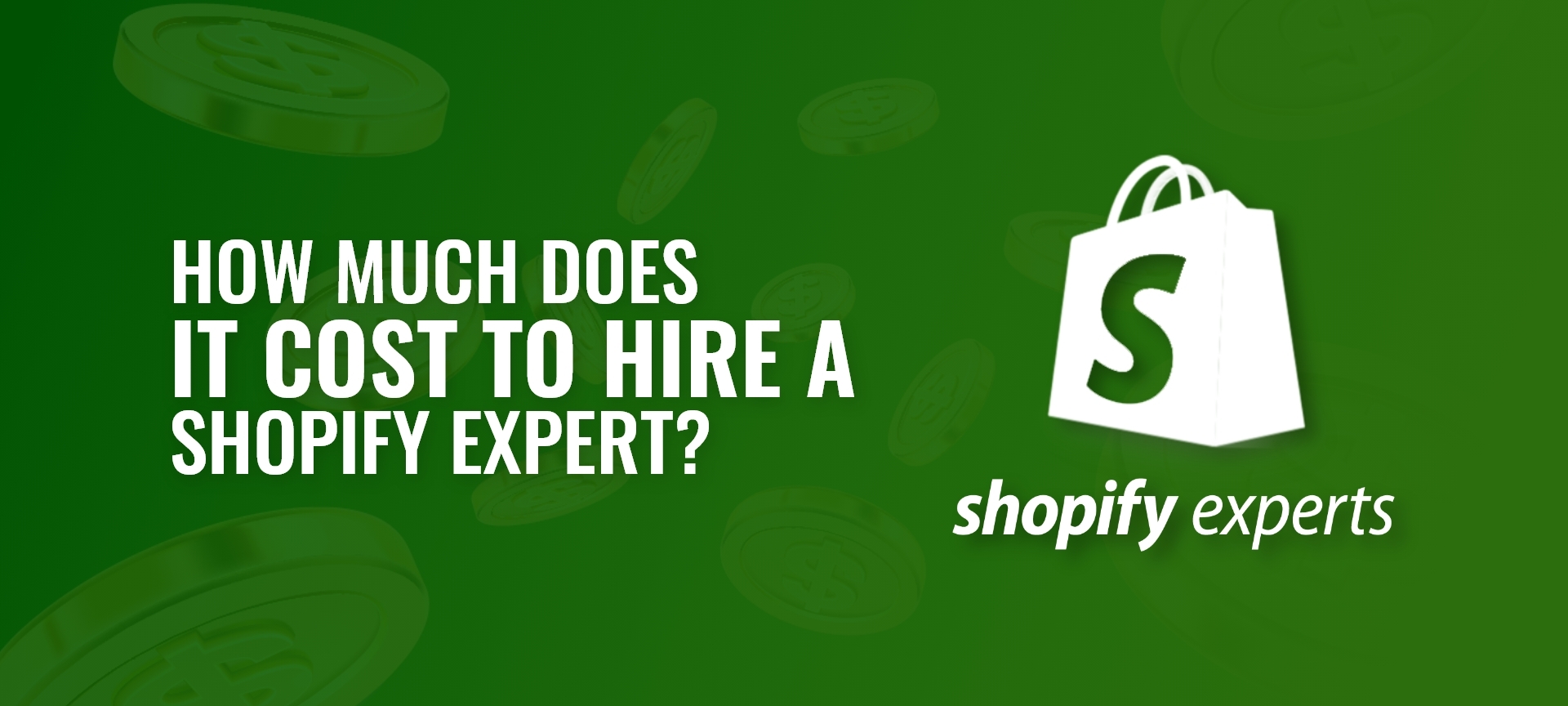 Shopify-Expert-Banner